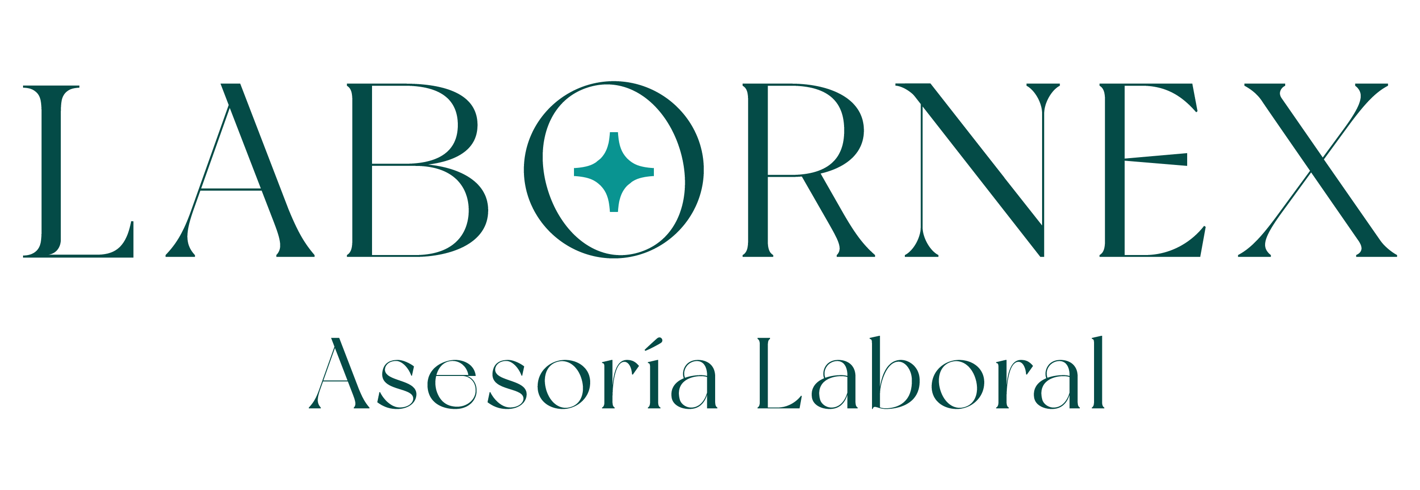 logo de website